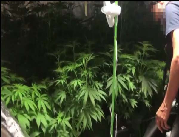 Villaya gelen kurye içeride yapılanları polise haber verince... - Resim: 1