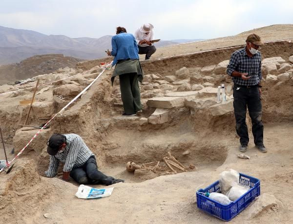 Van'da bulunmuştu! Biliminsanlarını şaşırtan bir gelişme yaşandı - Resim: 2