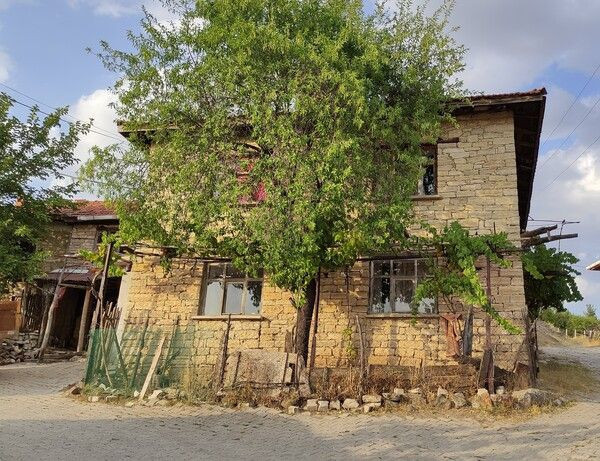 Bursa'da gören hayran kaldı! Ömürlerine ömür katıyorlar: 300 yıla kadar ömrü olur - Resim: 2