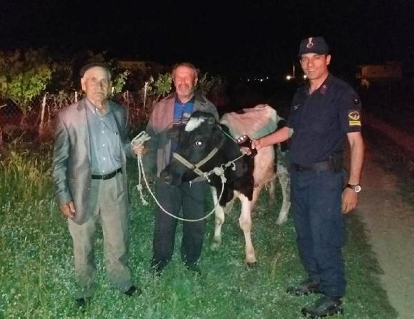 Dedesinin kefen parasını gasbedip gazinoda eğlendiler - Resim: 0