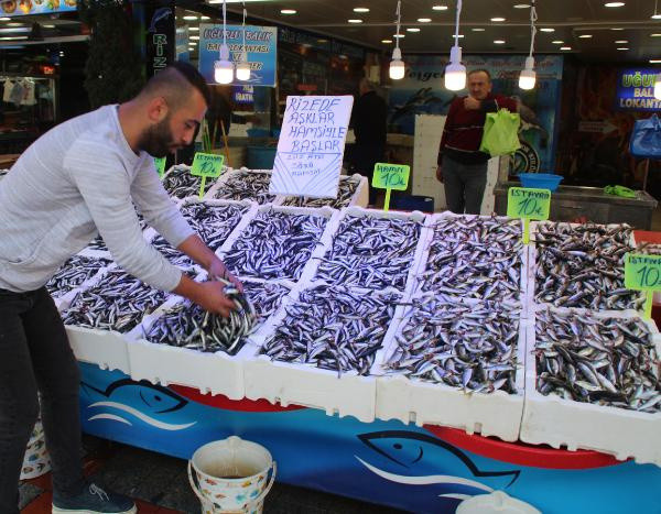 Palamut tezgahta erken tükendi! Rize'de fiyatlar yüzleri güldürmedi - Resim: 0