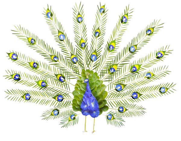 Bu kuşlar uçamıyor çünkü... - Resim: 1