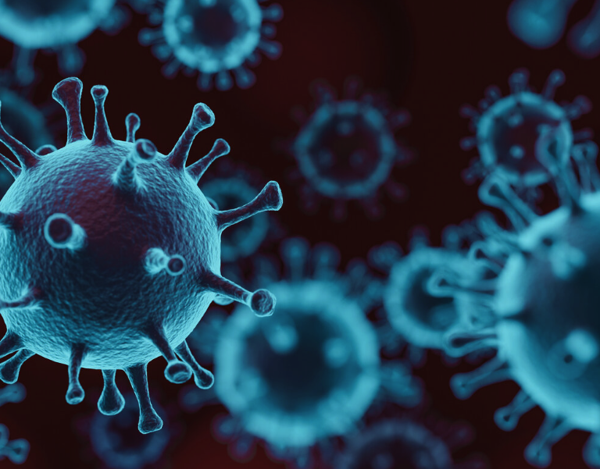 Salgın kapıda! Gözde kanama yapan ölümcül Marburg virüsü yayılmaya başladı - Resim: 1