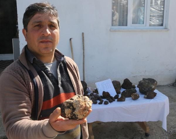 Çobanın başına talih kuşu kondu! Tokat'ta dudak uçuklatan fiyata satıyor - Resim: 4