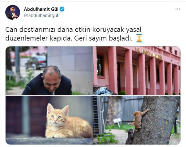 Adalet Bakanı Abdulhamit Gül'den Hayvan Hakları Yasası için 'geri sayım başladı' mesajı - Resim: 0