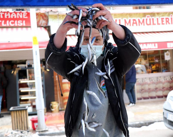 Fiyatı düştü! Samsun'da vatandaşlar tezgahlara akın etti satışlara yetişemiyorlar - Resim: 1