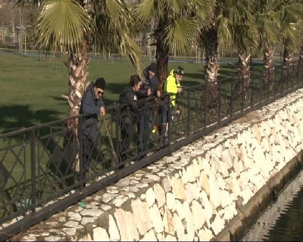 İstanbul'da ürküten olay: Peş peşe sahile vurdular! - Resim: 4