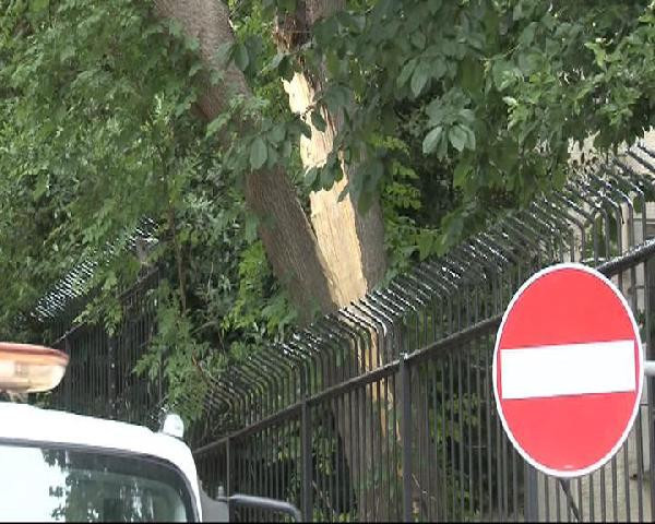 İstanbul'da sağanak yağmur caminin üstüne ağaç devirdi - Resim: 2