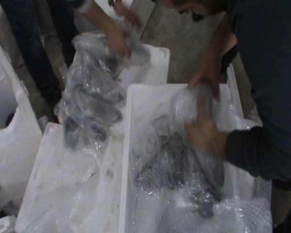 İstanbul'da silah yüklü gemiye operasyon - Resim: 2