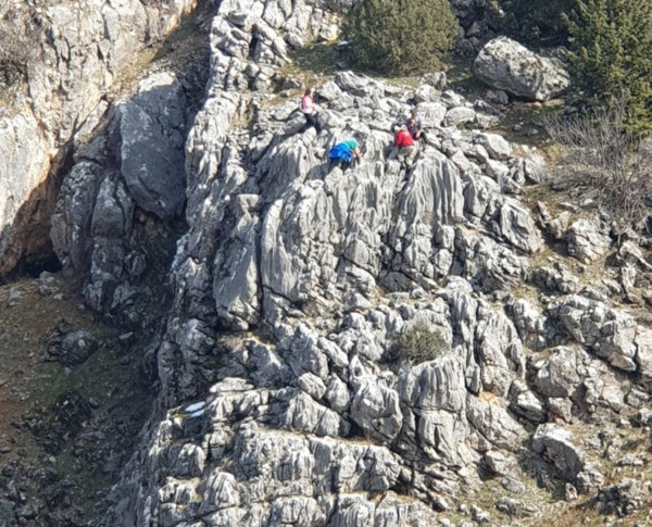 Kahramanmaraş'ta bu çiçeği koparan yandı! Cezası sıfır otomobil parası - Resim: 0