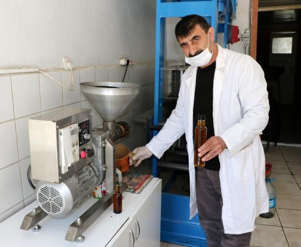 Koronavirüs sonrası çörek otu yağı satışları patladı - Resim: 2