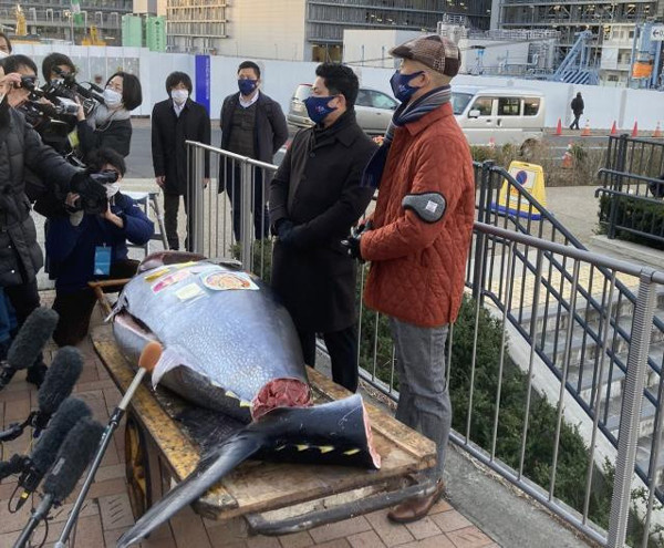 211 kiloluk orkinos yakalandı! Fiyatını duyanlar inanamadı - Resim: 0