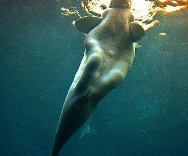 Günün en ilginç fotoğrafları - Resim: 3