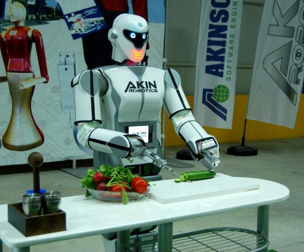Yanlış duymadınız! İnsansı robot, 'Erik Dalı' oynuyor - Resim: 2