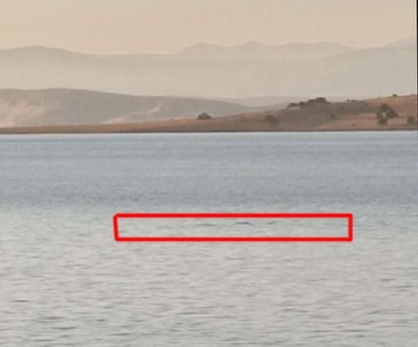 Van Gölü'nde canavar var deniyor! Sırtı zikzaklı tuhaf varlık - Resim: 3