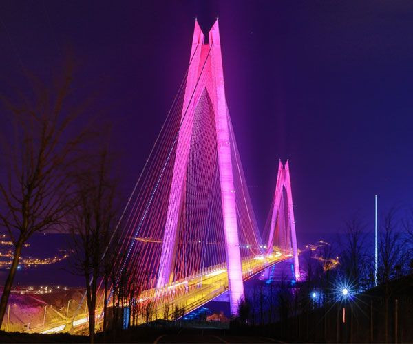 İstanbul'daki köprüler Epilepsi Günü için mora büründü - Resim: 0