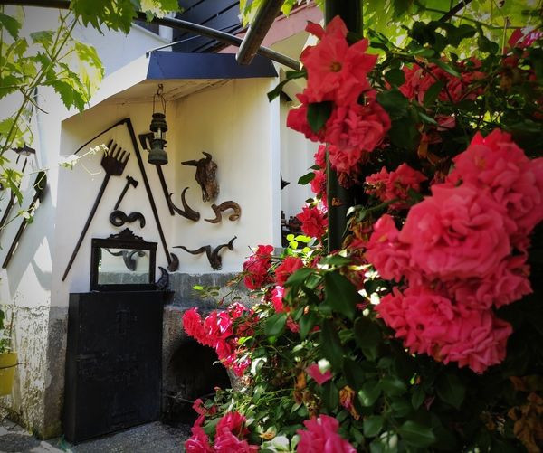 Bursa'da burada tatil yapmak bedava! Sadece tek bir şart bulunuyor - Resim: 1