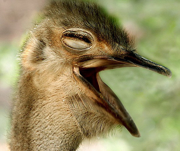 Gülümseyin çekiyorum... - Resim: 4