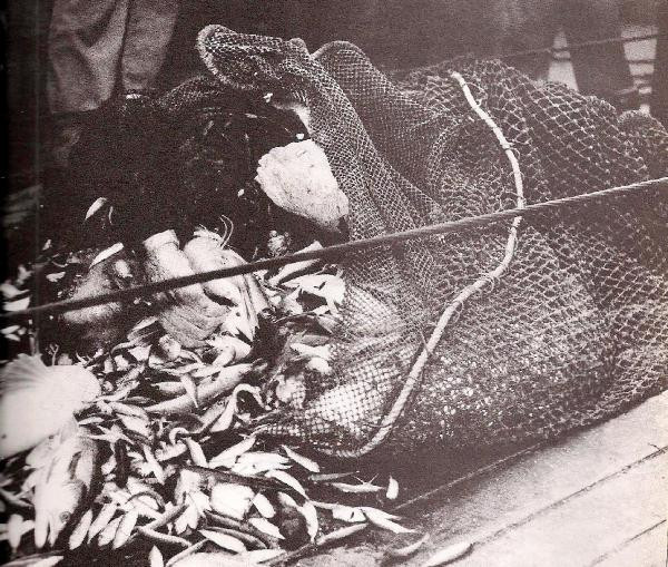 Üsküdar Vapuru faciasında ölenler anıldı! - Resim: 3