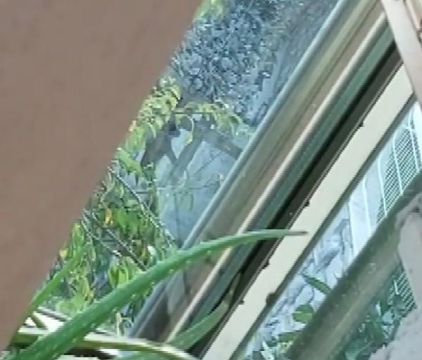 Sarıyer'de tüyler ürperten olay! Sahiplendikleri köpeklere işkence ettiler - Resim: 1