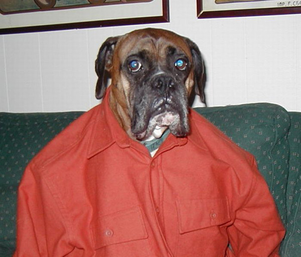 İnternetin tık rekoru kıran kareleri - Resim: 3