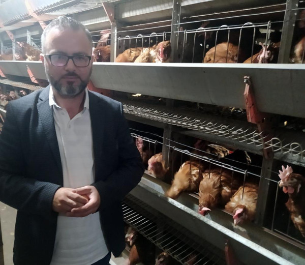 Lıkır lıkır oynayan yumurtalara dikkat! Sakın yemeyin: Uzman isim uyardı - Resim: 0