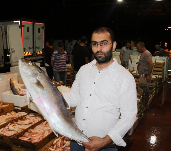 Bir kızın parmağını koparmıştı! Türkiye'ye akın eden balon balığı teneke yiyor - Resim: 1