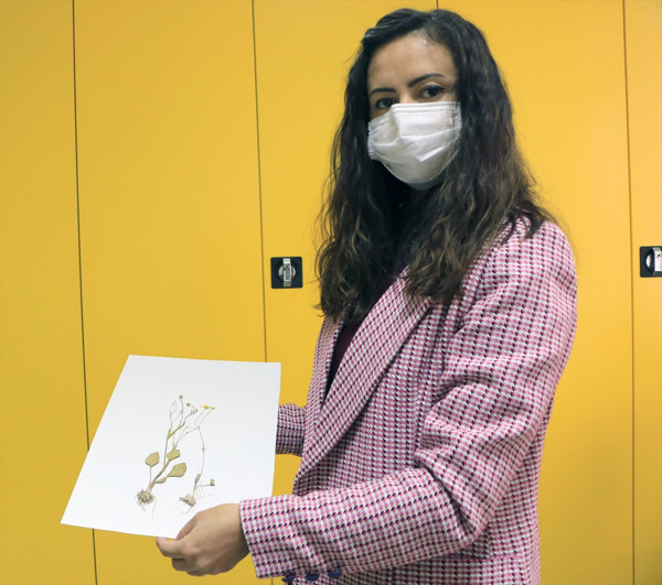 Aksaray'da keşfedildi peşine düştüler: Büyük heyecan uyandırdı - Resim: 1