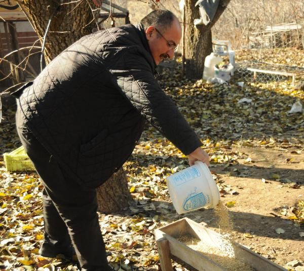 Kayseri'de bir yıl önce hobi olarak kaz aldı yılbaşı arefesi paraya para demiyor - Resim: 1