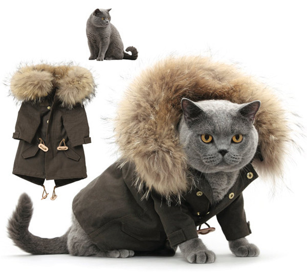 Onların da bir modası var! - Resim: 4