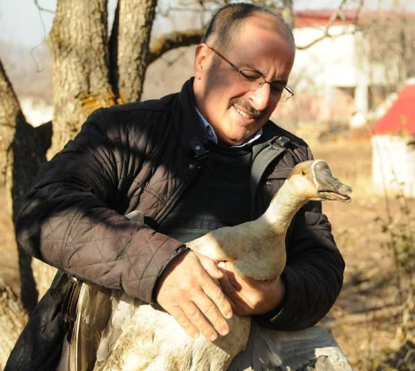 Kayseri'de bir yıl önce hobi olarak kaz aldı yılbaşı arefesi paraya para demiyor - Resim: 3