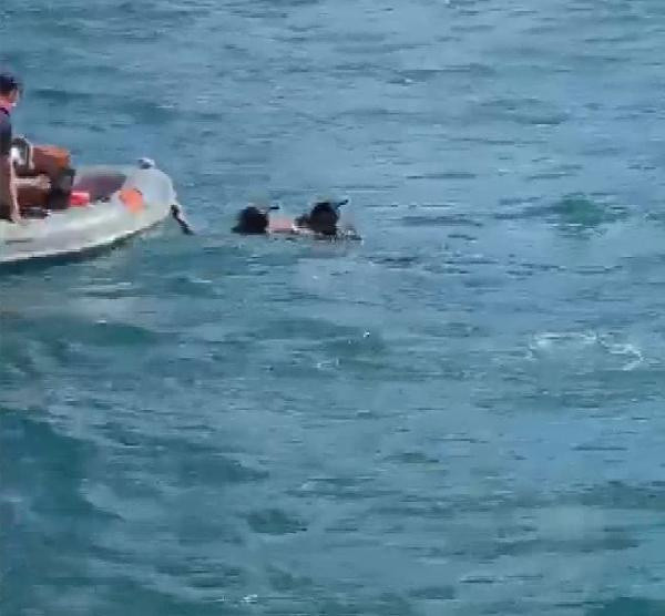 Sarıyer'de sahil güvenlik ekiplerinin denizdeki kişiyi kurtarma anları! - Resim: 0