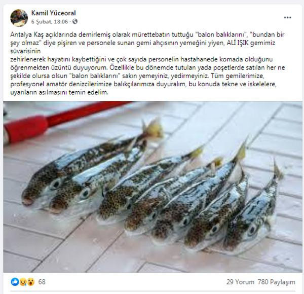 Kaş'ta balon balığı zehirlenmesi iddiası! Sağlık Bakanlığı inceleme başlattı - Resim: 0