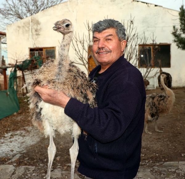 Sadece 3-4 kişi bu işi yapıyor! Kırşehir'de 26 yıl önce başladı paraya para demiyor - Resim: 1