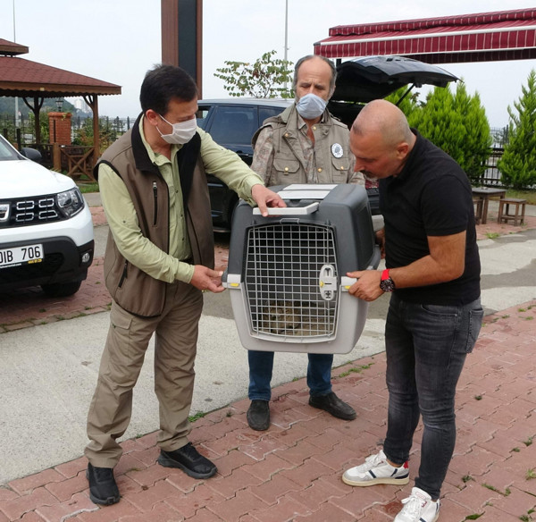 Türkiye'de görüldü! İlk kez böyle bir kuş türüyle karşılaştılar - Resim: 1