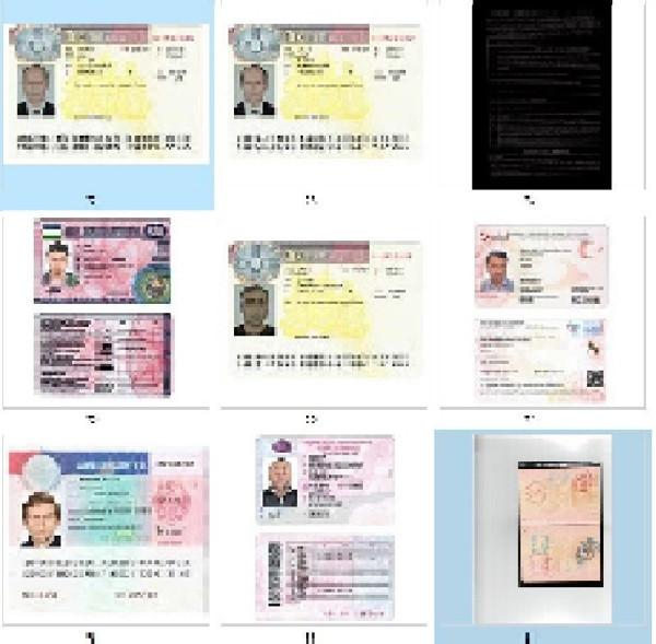 DEAŞ şüphelisi Rus sahte pasaport ile giriş yapmaya çalışırken yakayı ele verdi - Resim: 0