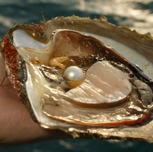 Sipariş ettiği yemeğin içinden binlerce dolarlık nadide bir mücevher çıktı - Resim: 2