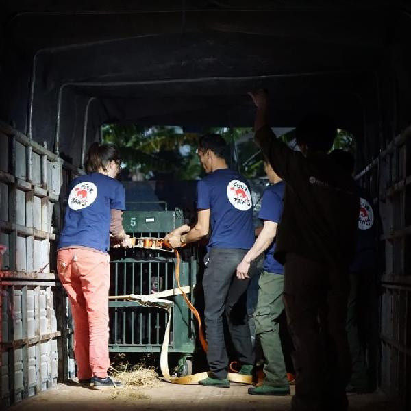 17 senedir karanlık bodrumda tutsaktı! Sadece çürümüş sebze verildi - Resim: 1