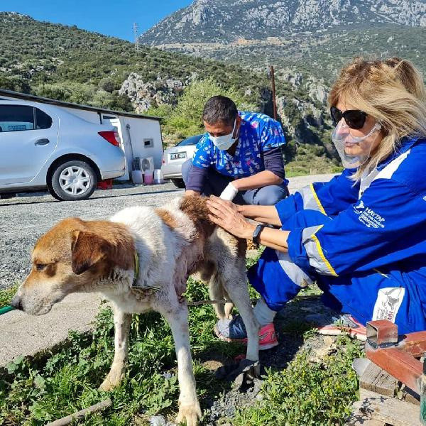 İzmir'de görenler çok üzülmüştü! 2 saatte çıkarıldı büyüklüğü şaşırttı - Resim: 1