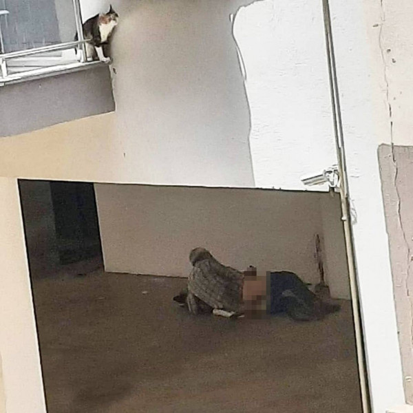 Aydın'da sokakta mide bulandıran olay! Tecavüz ederken yakalandı cezası şok etti - Resim: 1