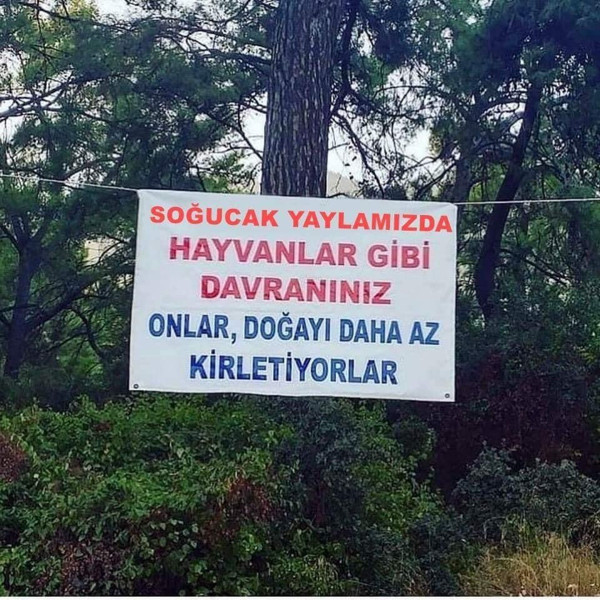 Sakarya'da yayladaki pankartı görenler şaştı kaldı - Resim: 1