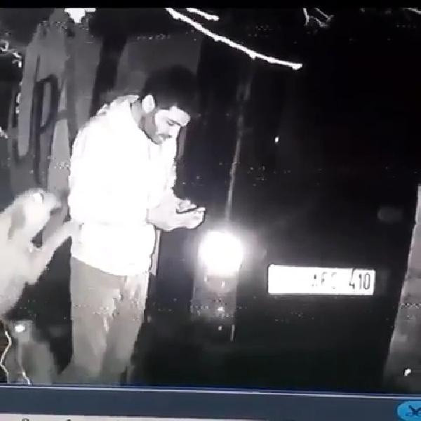 Samsun'da köpeği tekmeleyen hayvanları koruma derneği üyesi istifa etti - Resim: 0