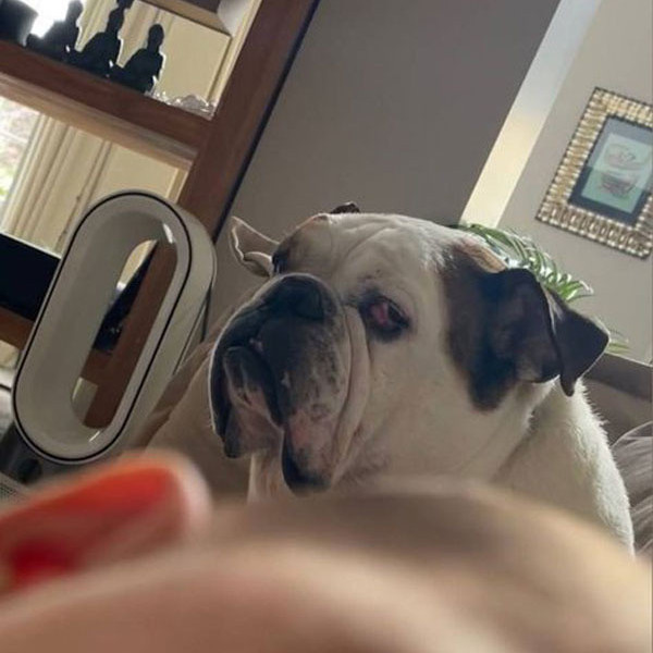 15 gün önce anne olmuştu! Taze anne Gupse Özay kızının yüzünü ilk defa paylaştı! - Resim: 3