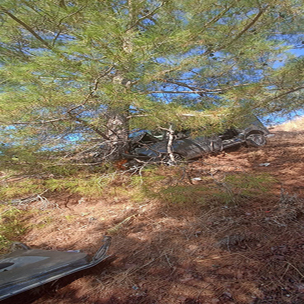 Uçurumdan düştü, 15 metre kaydı! Ölümden kıl payı kurtuldu - Resim: 0