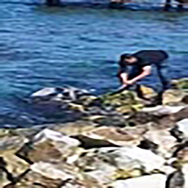 Oltasına takılana inanamadı! Denizden balık yerine bakın ne tuttu - Resim: 1