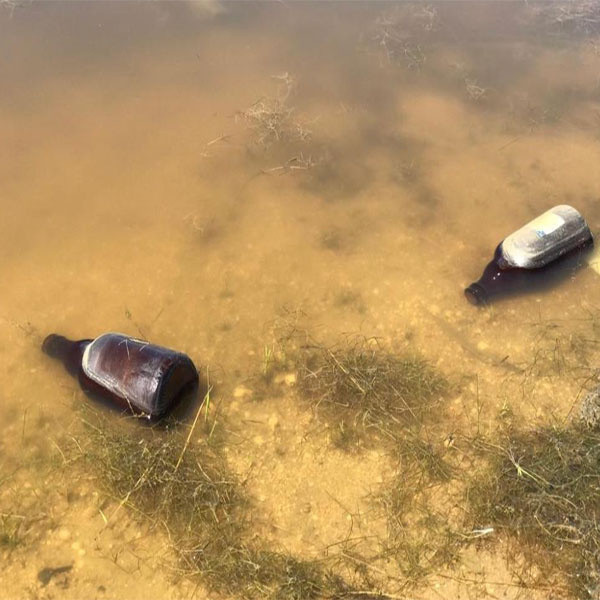 Doğa harikasını böyle katlettiler! Alkol şişeleri ve çöpler nilüferleri yok etti - Resim: 0