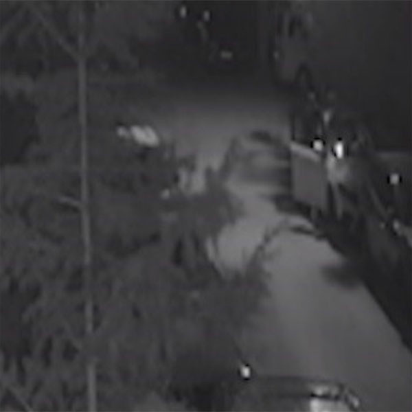 Yazılım şirketinin aracından 120 bin liralık eşya çalmıştı! Konya'da otomobil hırsızı iş üstünde yakalandı! - Resim: 0