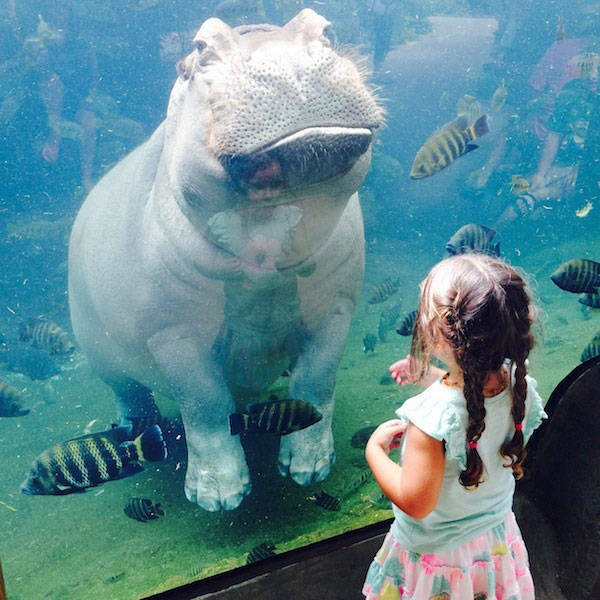 İçinizi ısıtacak  fotoğraflar - Resim: 1