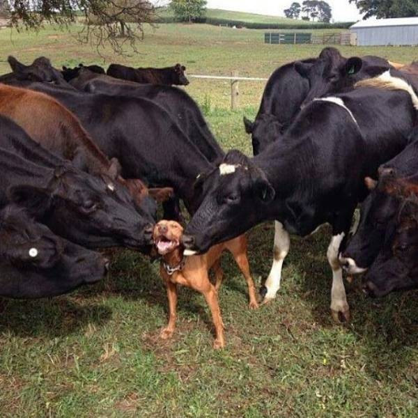 İçinizi ısıtacak  fotoğraflar - Resim: 3