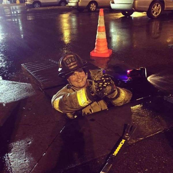 Günün en ilginç 60 fotoğrafı - Resim: 3